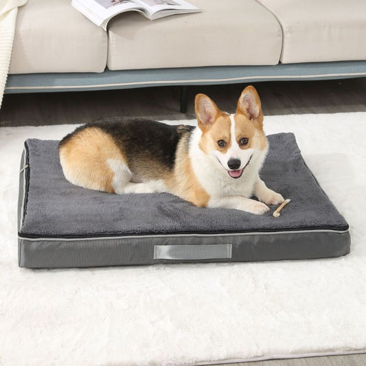 Orthopedic memory foam dog bed, large