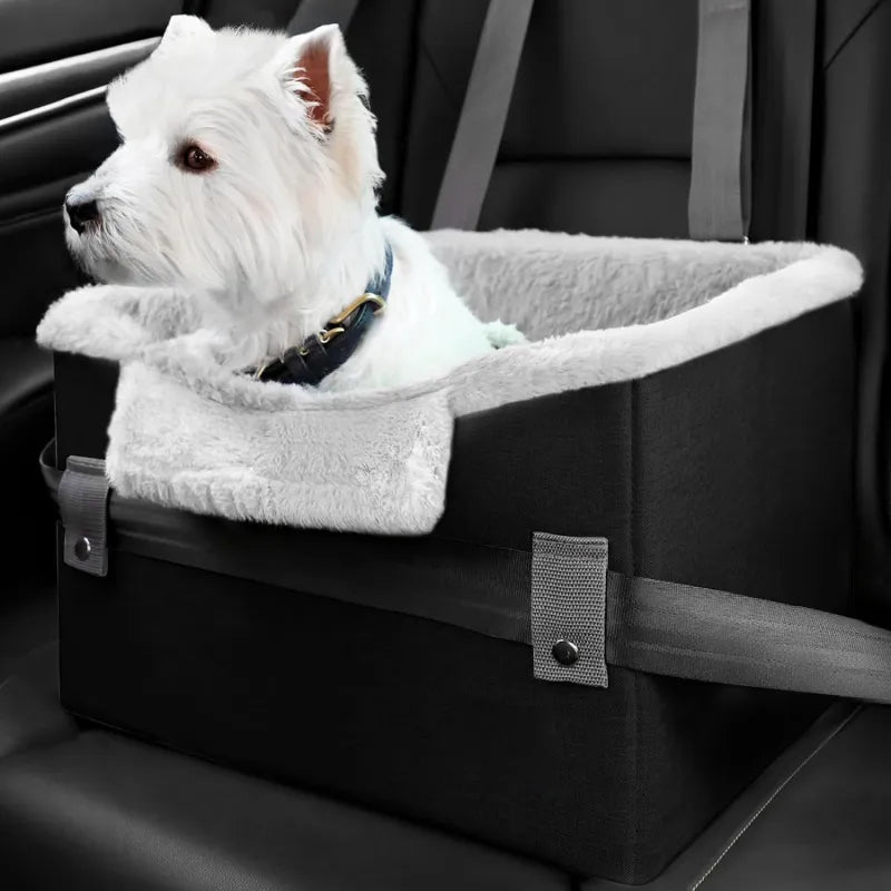 Padded dog booster car seat, installed in vehicle